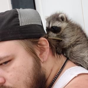 Meet your Posher, Jack